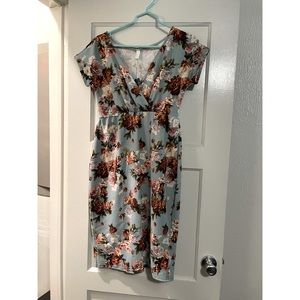 Pinkblush Maternity Dress